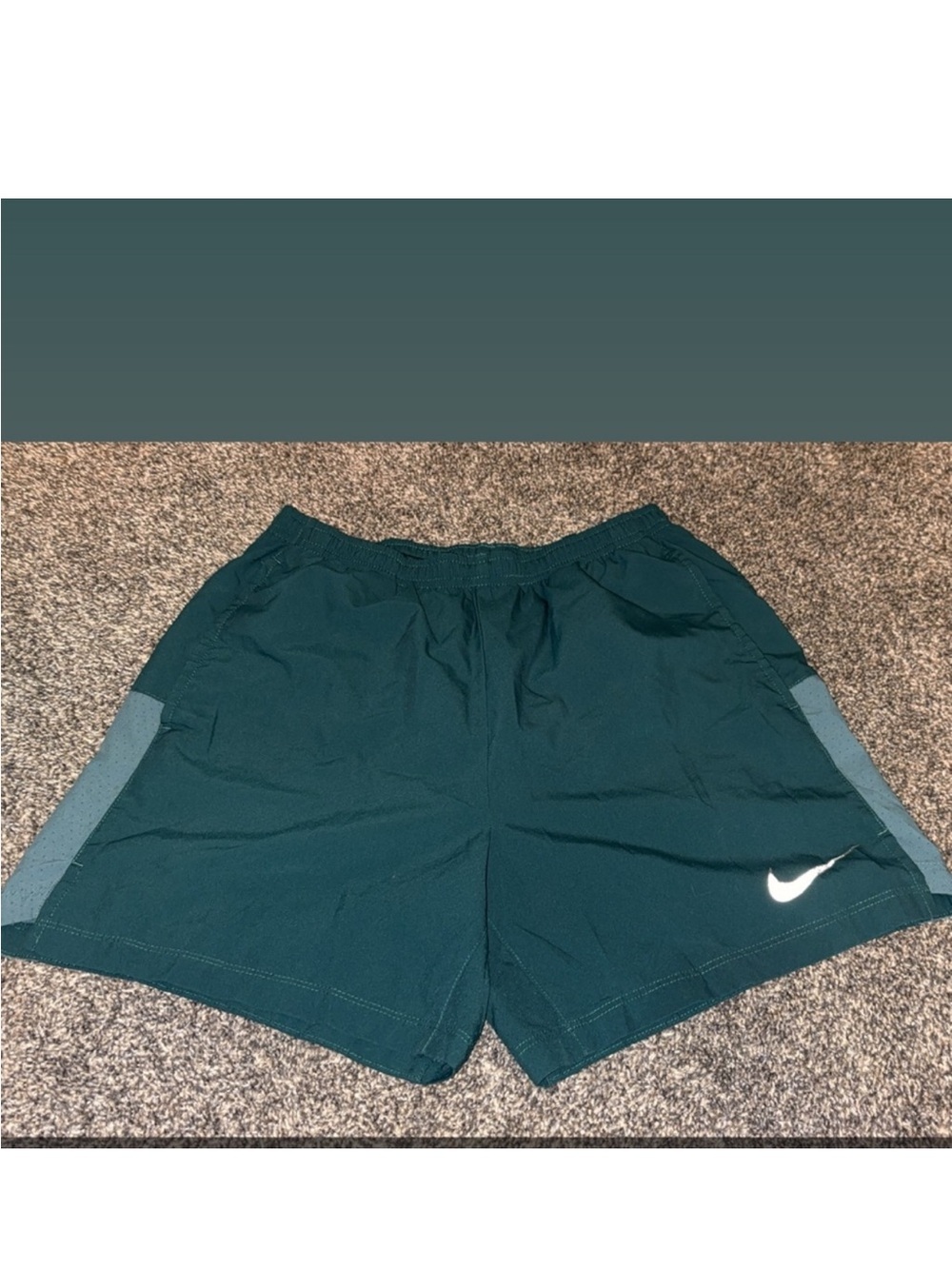 Nike Men's Teal Athletic Short Running Shorts with Light Teal Panels